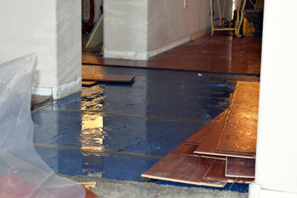 Professional Water Extraction technician working in Hull, IA